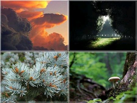 Wallpapers - Best Nature Scenes. Wallpapers - Best Nature Scenes